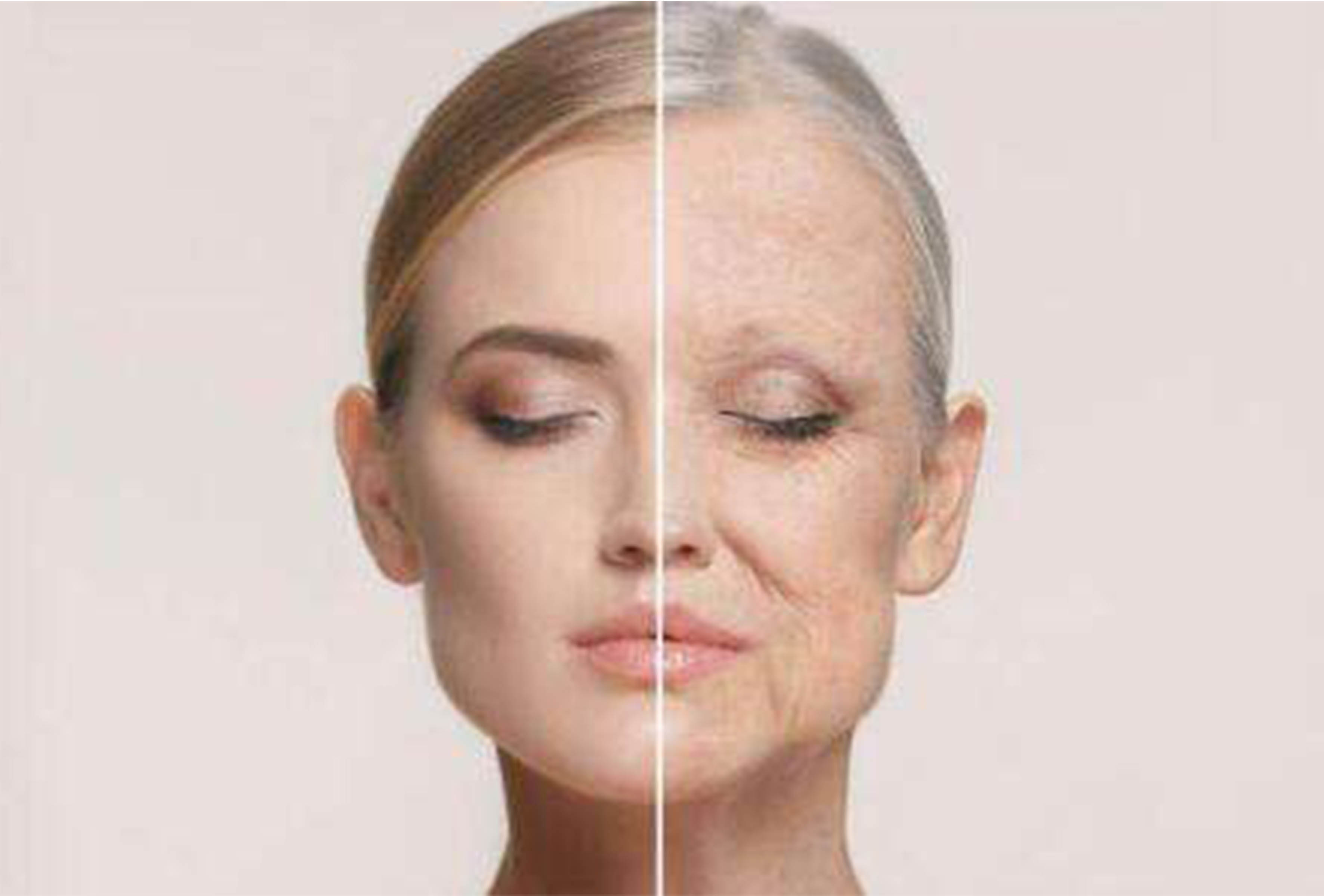 <b>我們每天應該怎么維護抗氧化工作？</b>