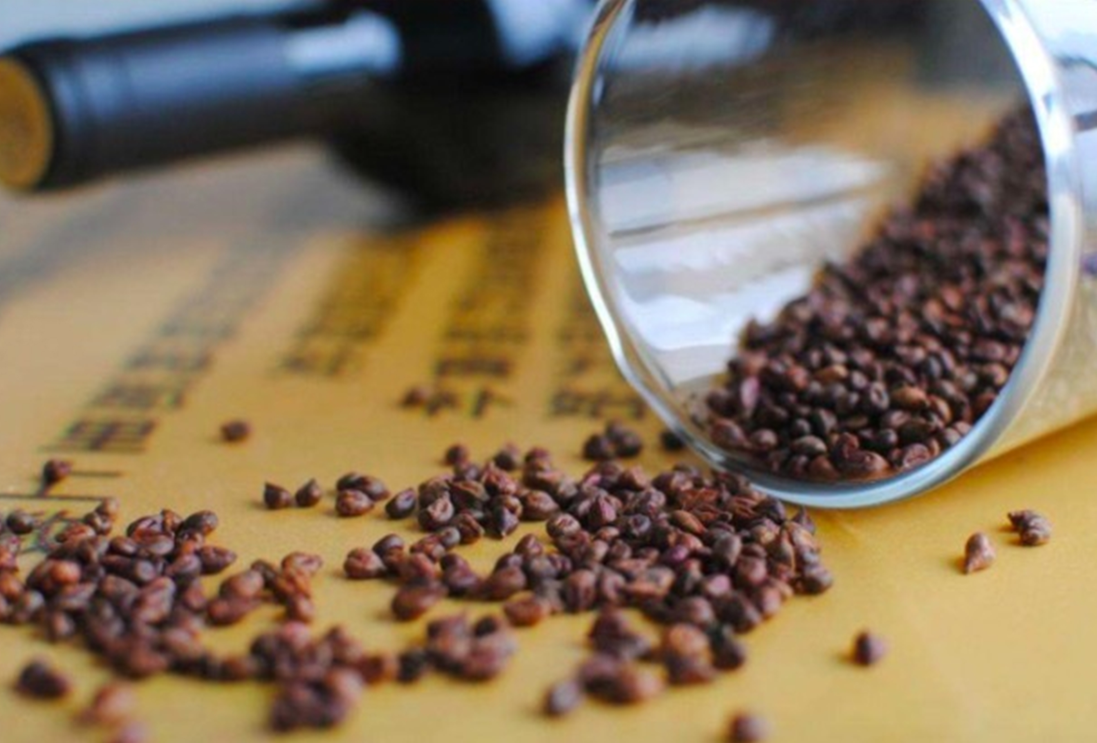 <b>深圳常青藤葡萄提取物葡萄籽粉代理加盟價格</b>